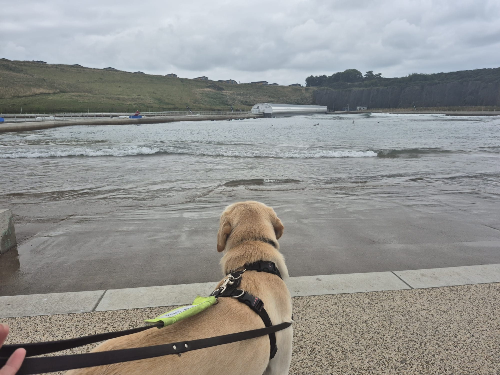 Guide Dogs Scotland | Forfar