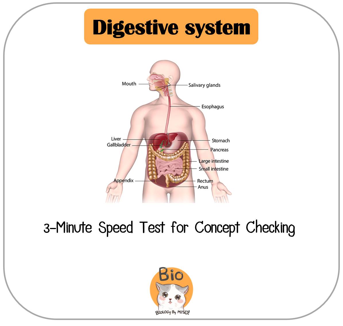 Biology by MiSo - 📢 มาเช็คความพร้อมสำหรับเตรียมสอบ สอวน.... | Facebook