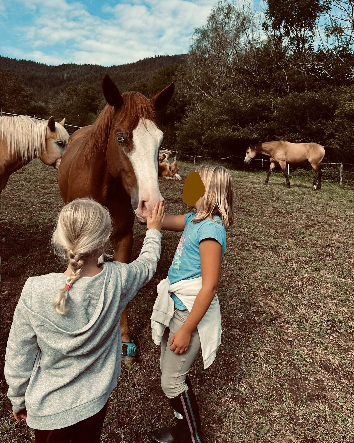 Cooper Ranch | Untersimonswald