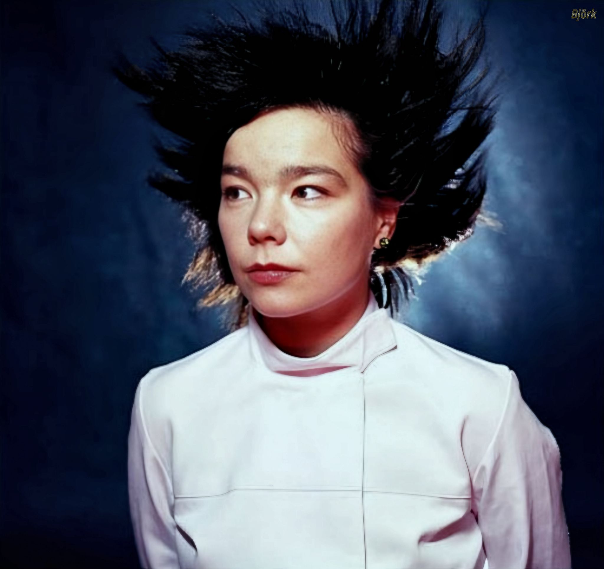 Björk Photographed by Wendy Idele, 1997.