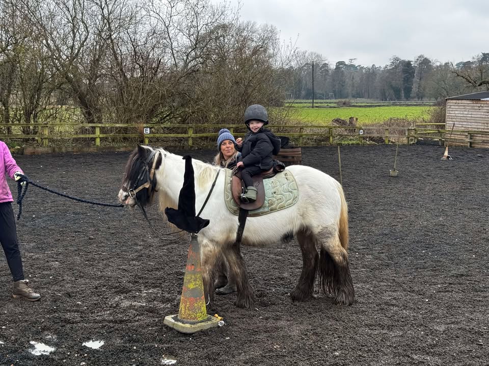 The Little Ranch Riding Centre | Flitwick