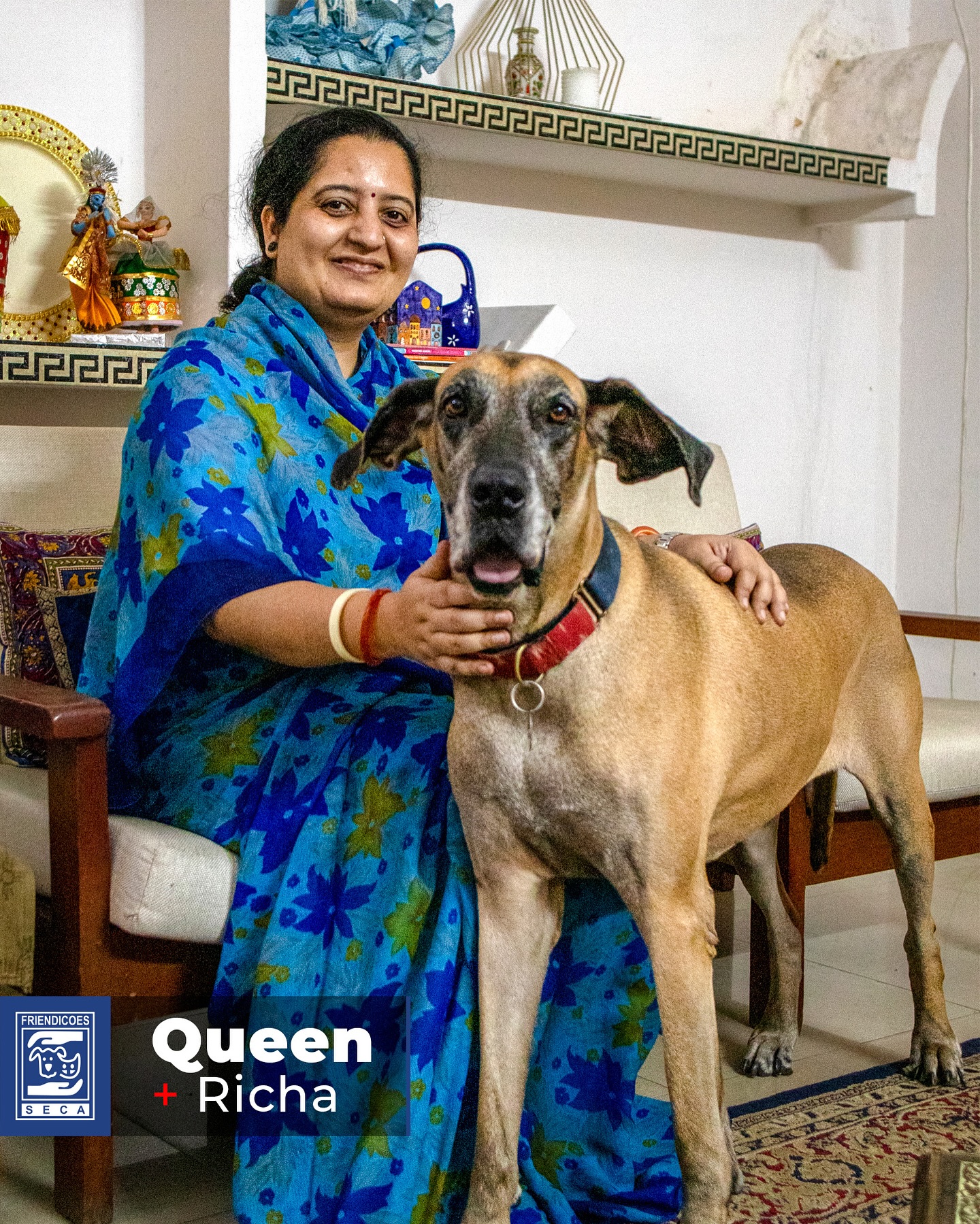 Friendicoes - 👑 Queen has finally found her... | Facebook