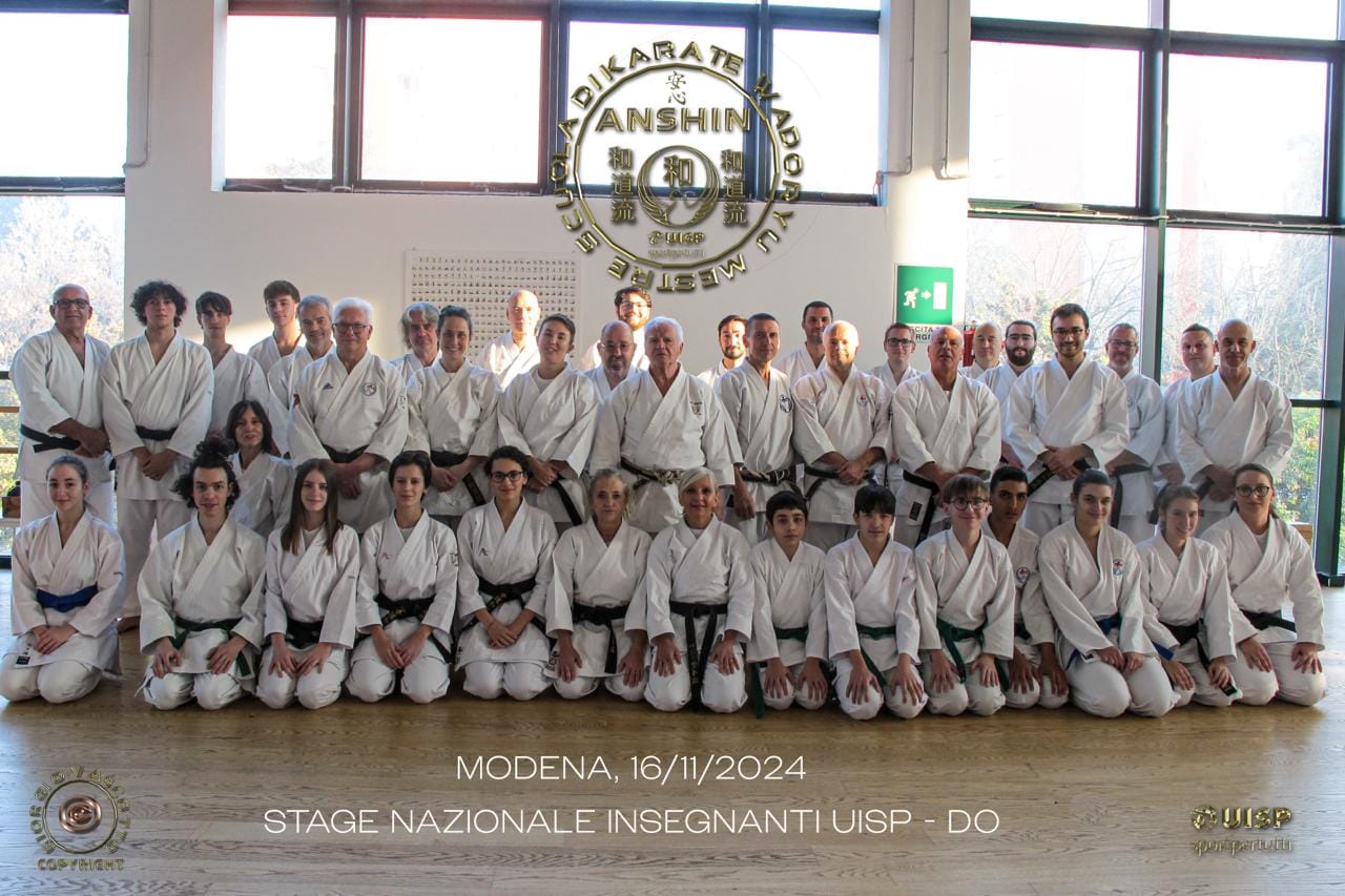Anshin Wado-Ryu Karate Mestre | Mestre