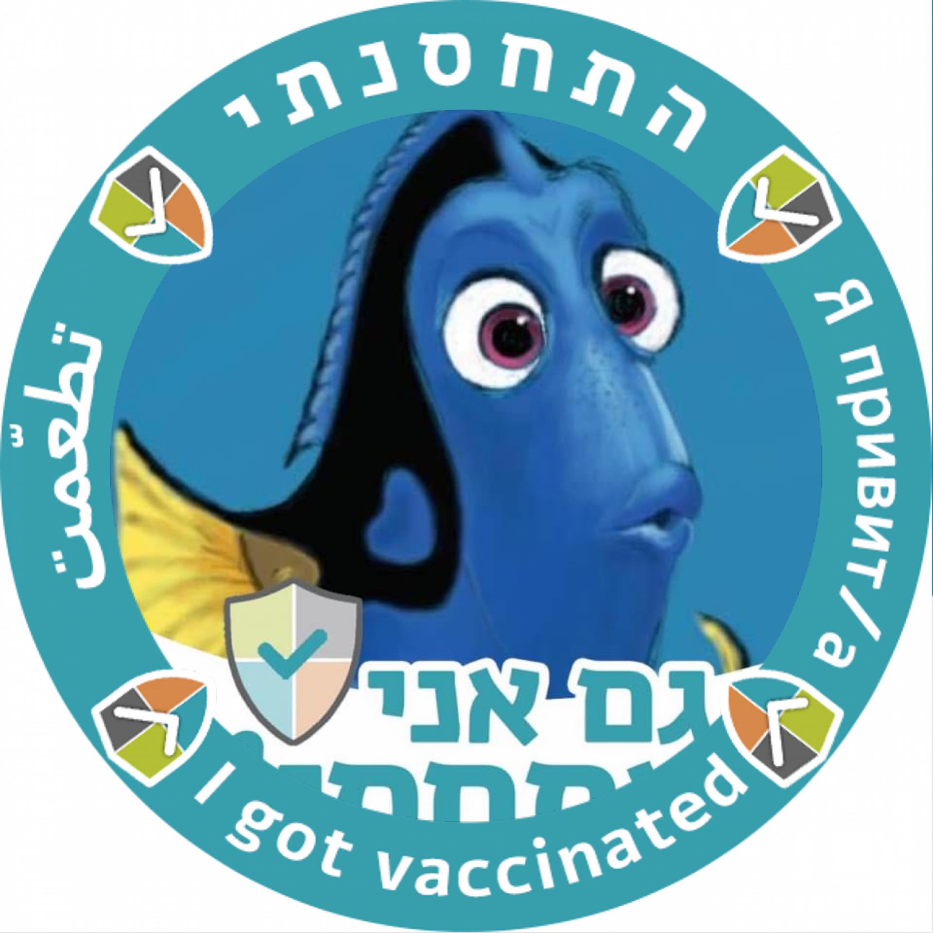 המחלקה - בשיעורים רבים של עברית תקנית עולה סוגיית צורתו של שם העצם ...