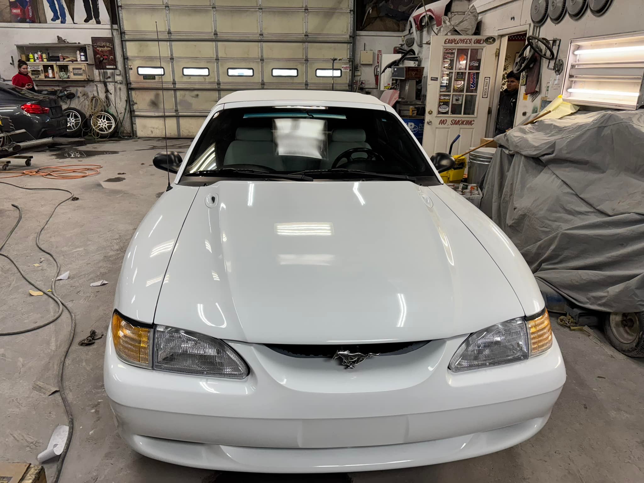 Chameleon Color Systems | Louisville KY