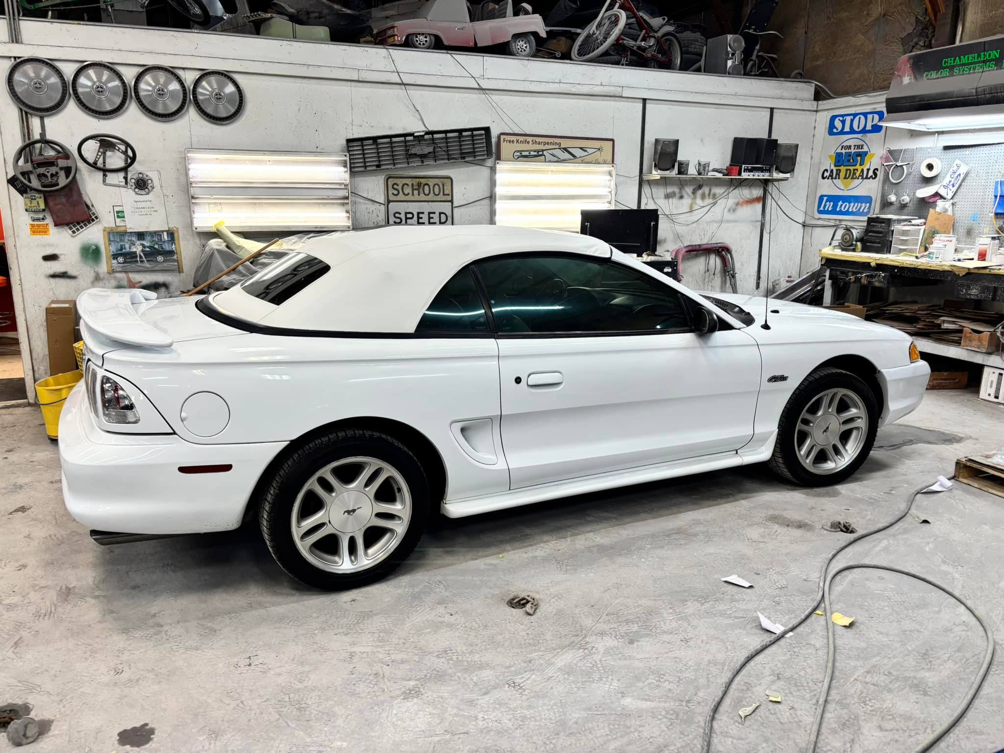 Chameleon Color Systems | Louisville KY