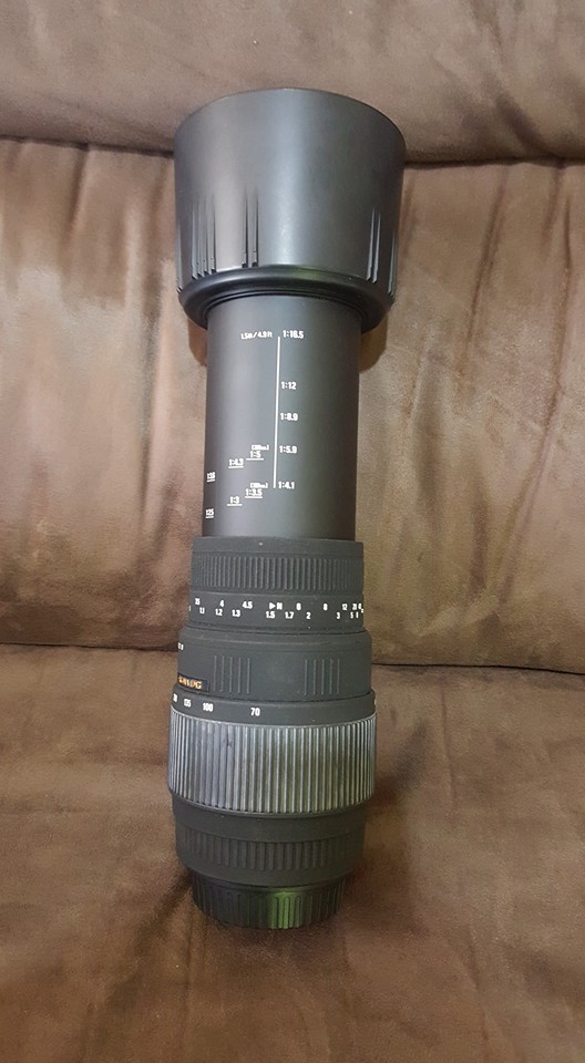 Nikon d5100 sigma 70-300mm dx