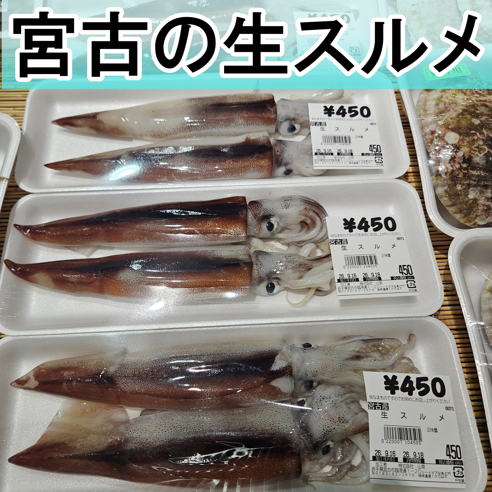 道の駅みやこシートピアなあど | Miyako-shi Iwate