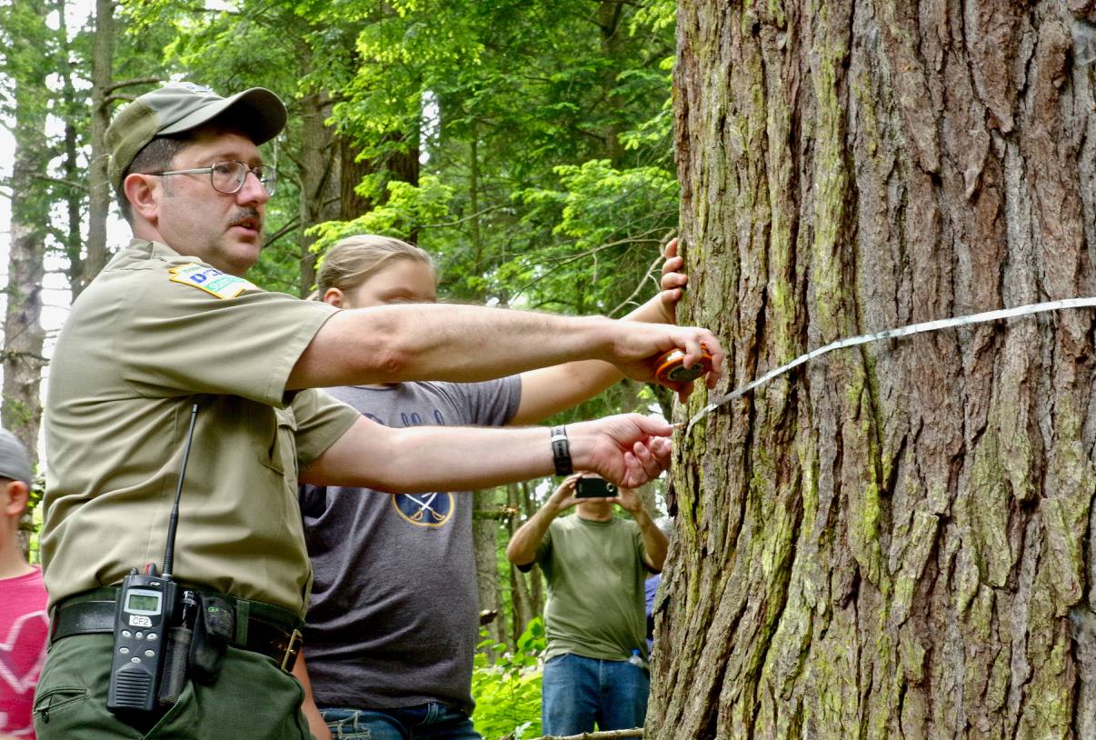 PA - Cook Forest State Park boasts four notable record holding trees. 1 ...