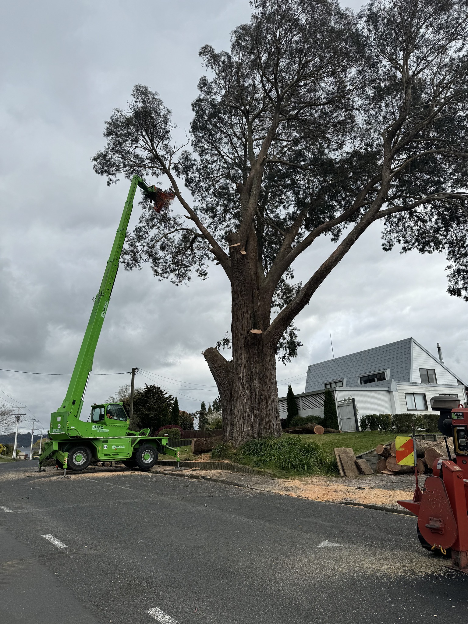 Tree Control