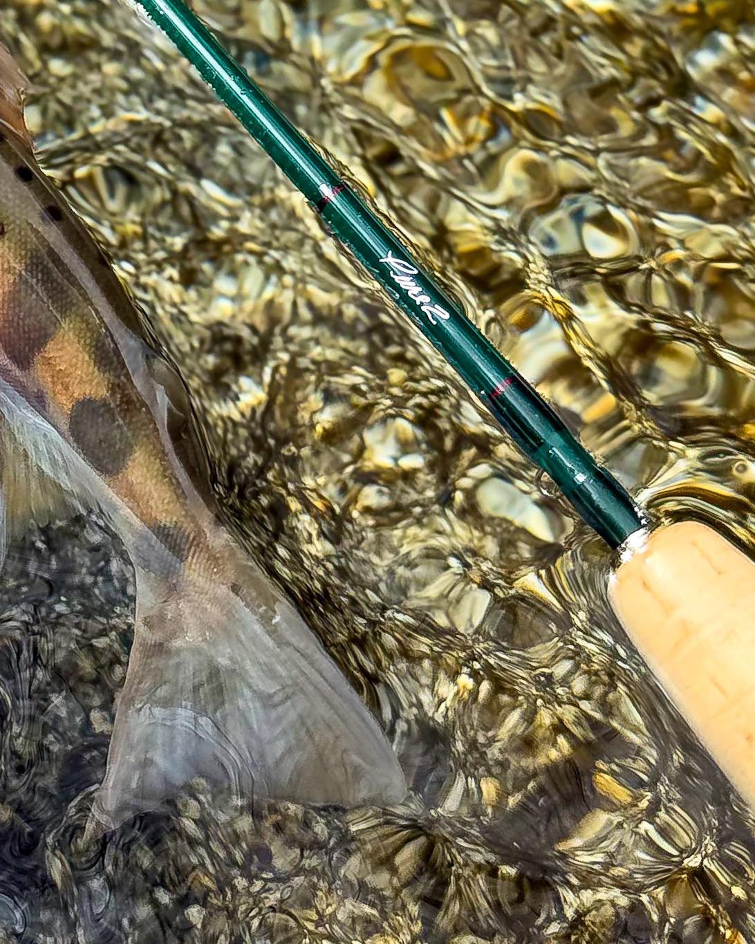 Equip - Beautiful water, beautiful fish, beautiful fly rods. 綺麗な水、綺麗な魚 ...