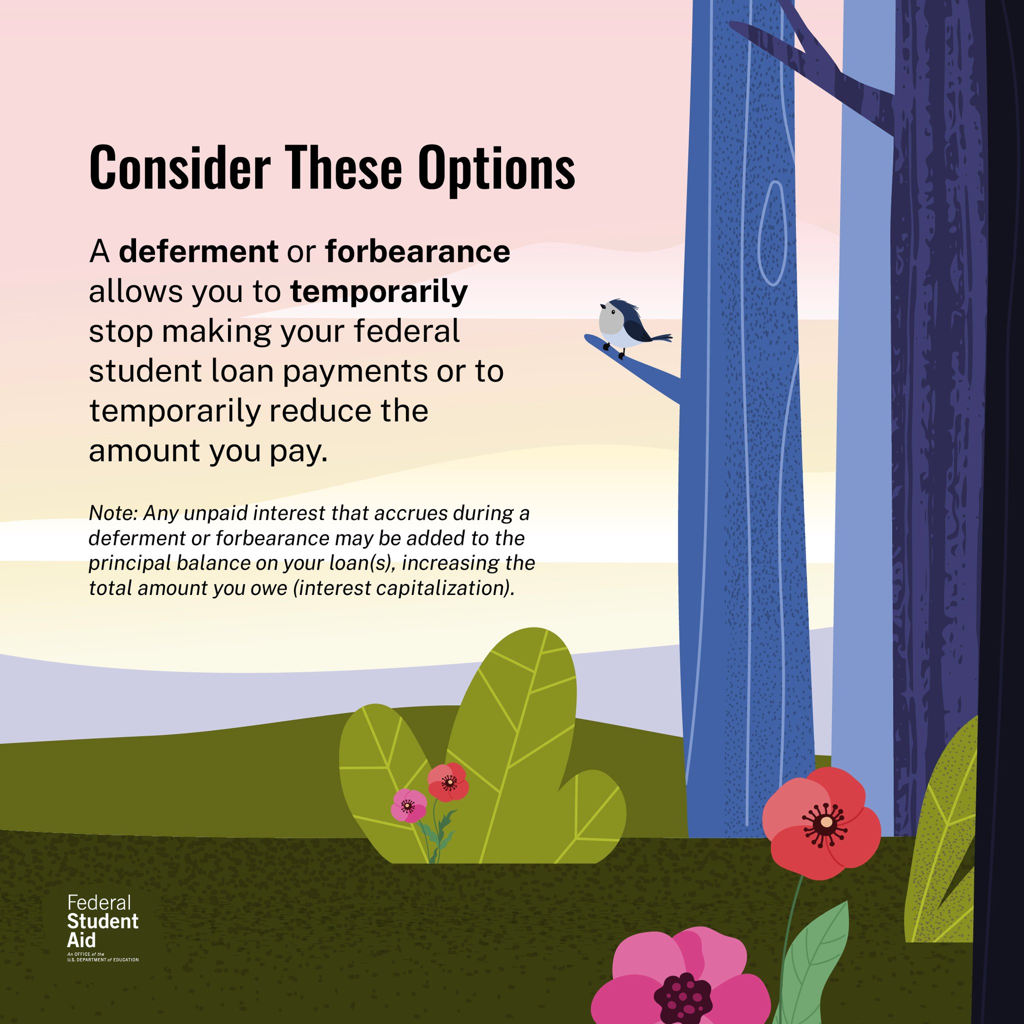Understanding Federal Student Loan Deferment Options