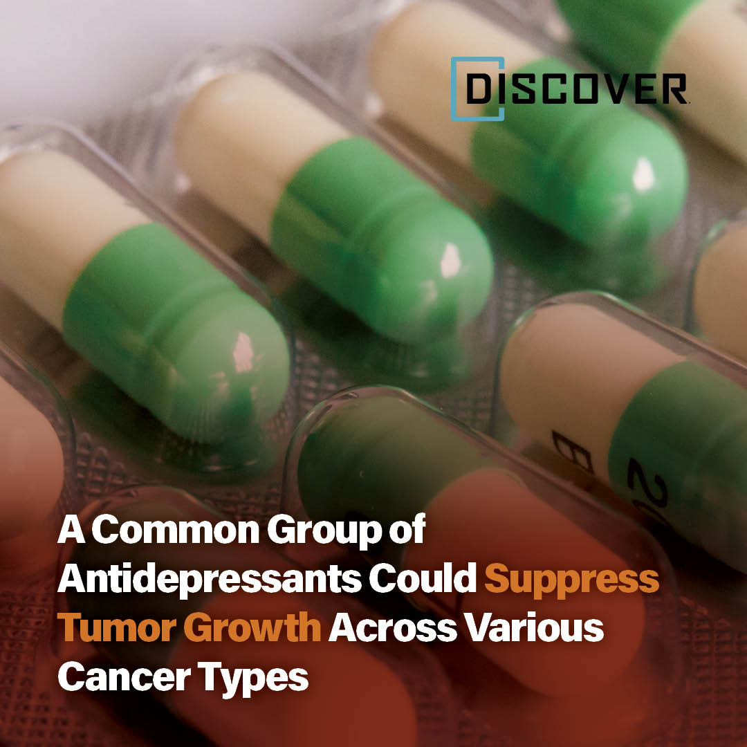 Discover - Learn why antidepressants are the new hot topic in cancer ...