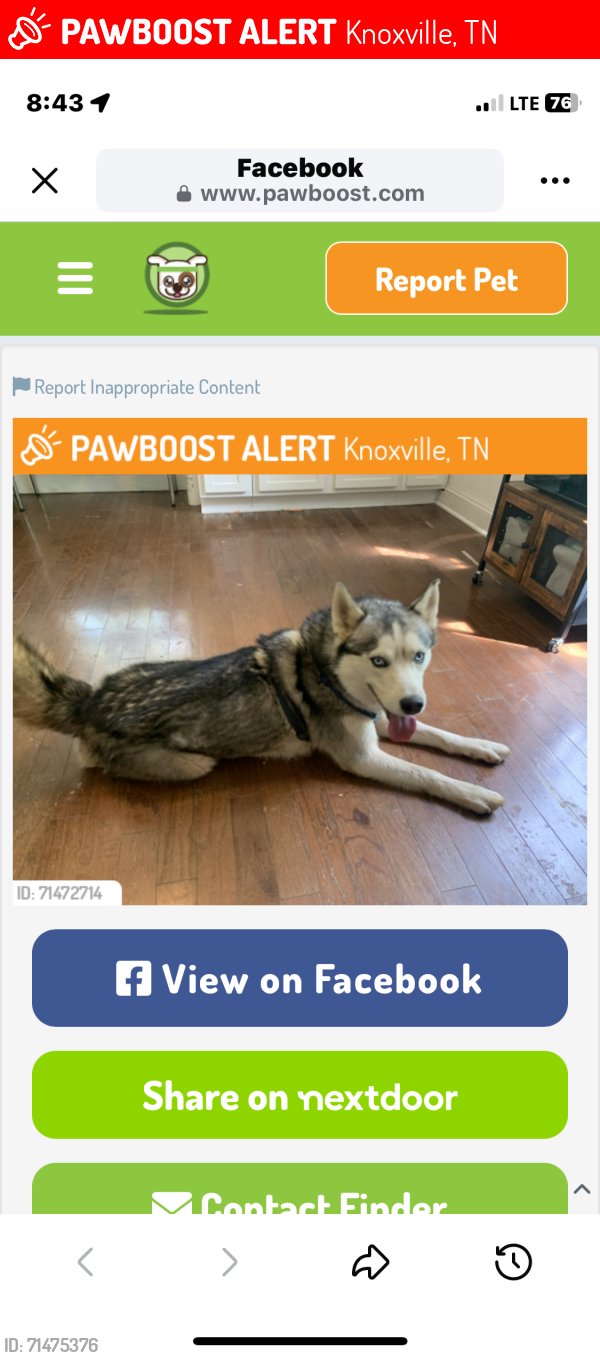 Craigslist Pets Knoxville Tn