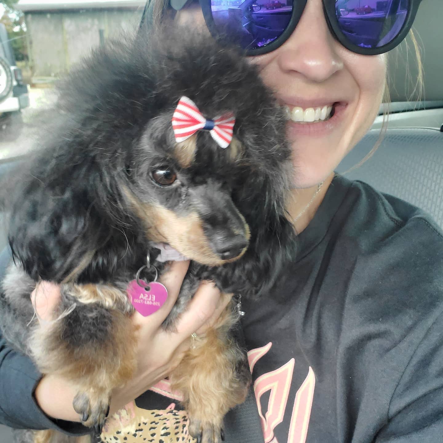 All the Doodles - Meet our furbabies - Elsa, Ana, Pyper,... | Facebook