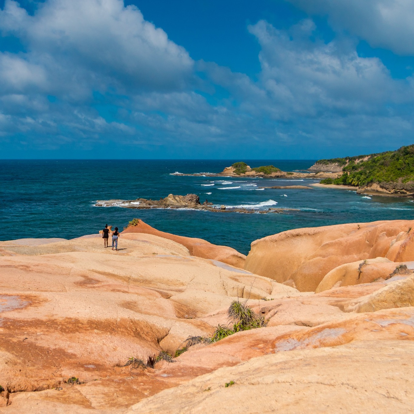 Discover Dominica - Turtle Point Beach | Facebook
