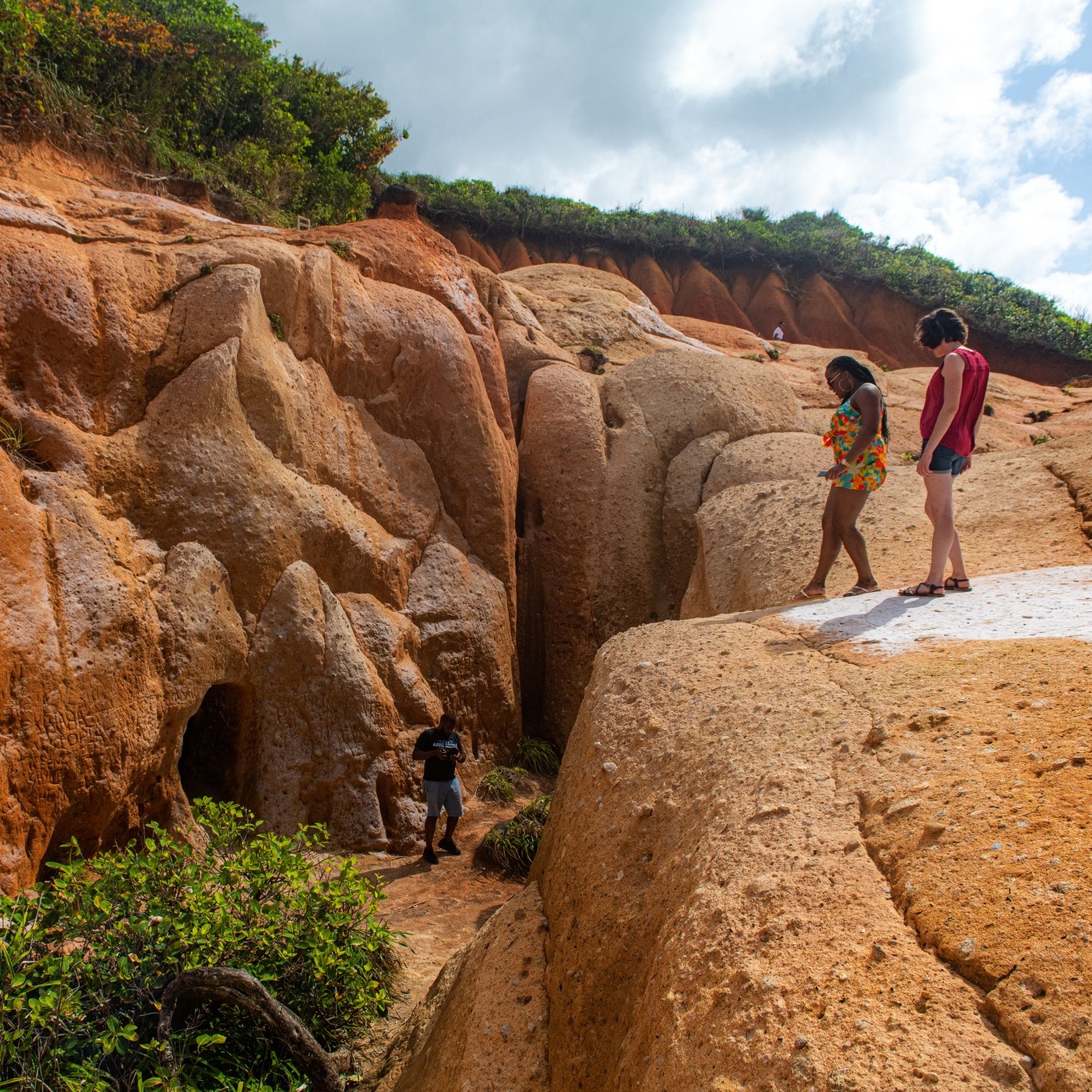 Discover Dominica - Turtle Point Beach | Facebook