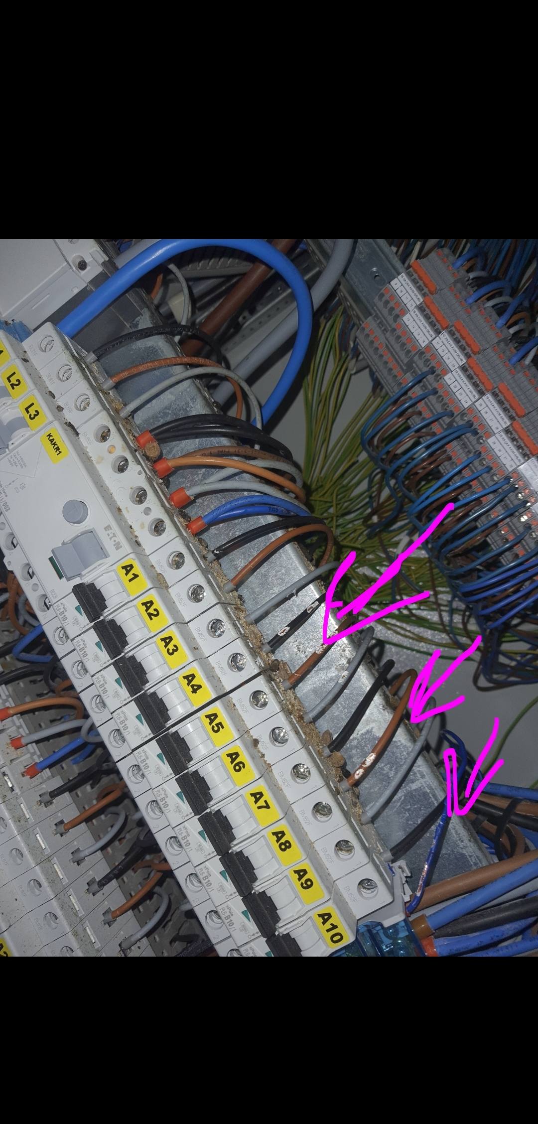 ELECTRICAL Engineer USA CoMMuNiTy | COULD A MOUSE HAVE GABBED THE ...