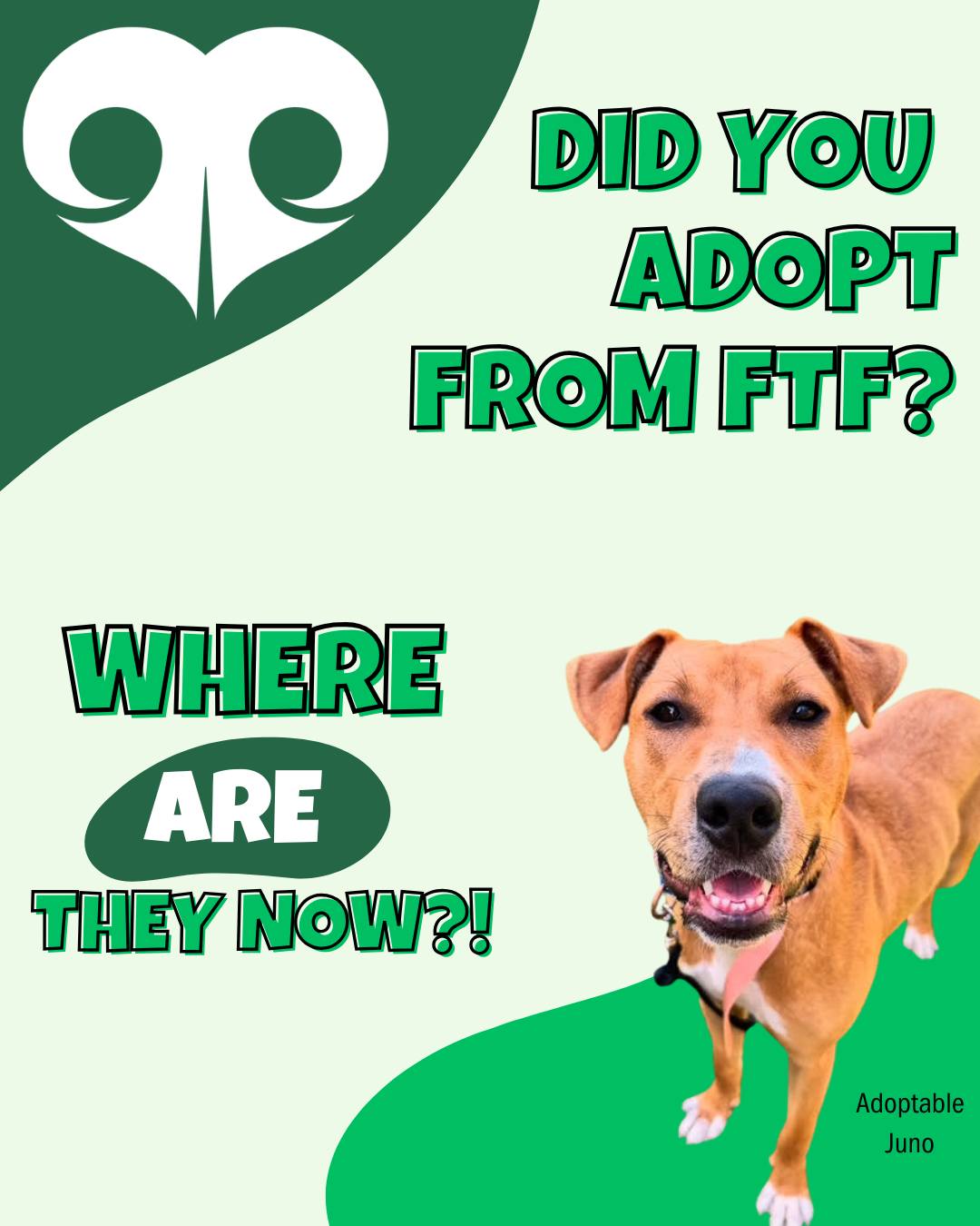 Fetching - 🐾 Where Are They Now? Wednesday! 🐾 We want to see our ...