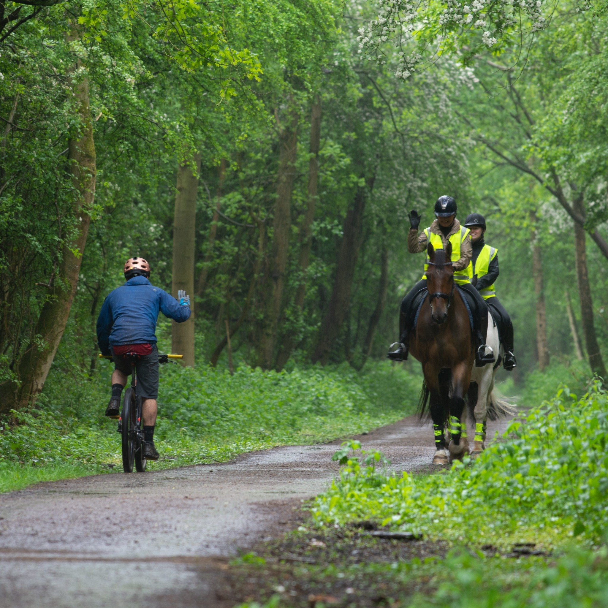 The British Horse Society... - The British Horse Society