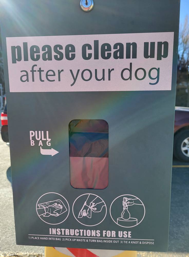 Dog owners neglecting to clean up after pets in Deadwood
