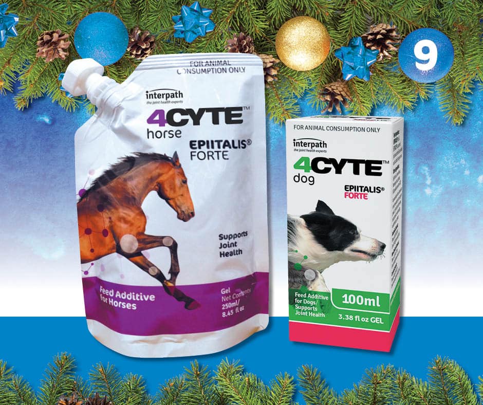 4CYTE NZ - 12 Days of Interpath🎅 Every day from Dec 1 –... | Facebook