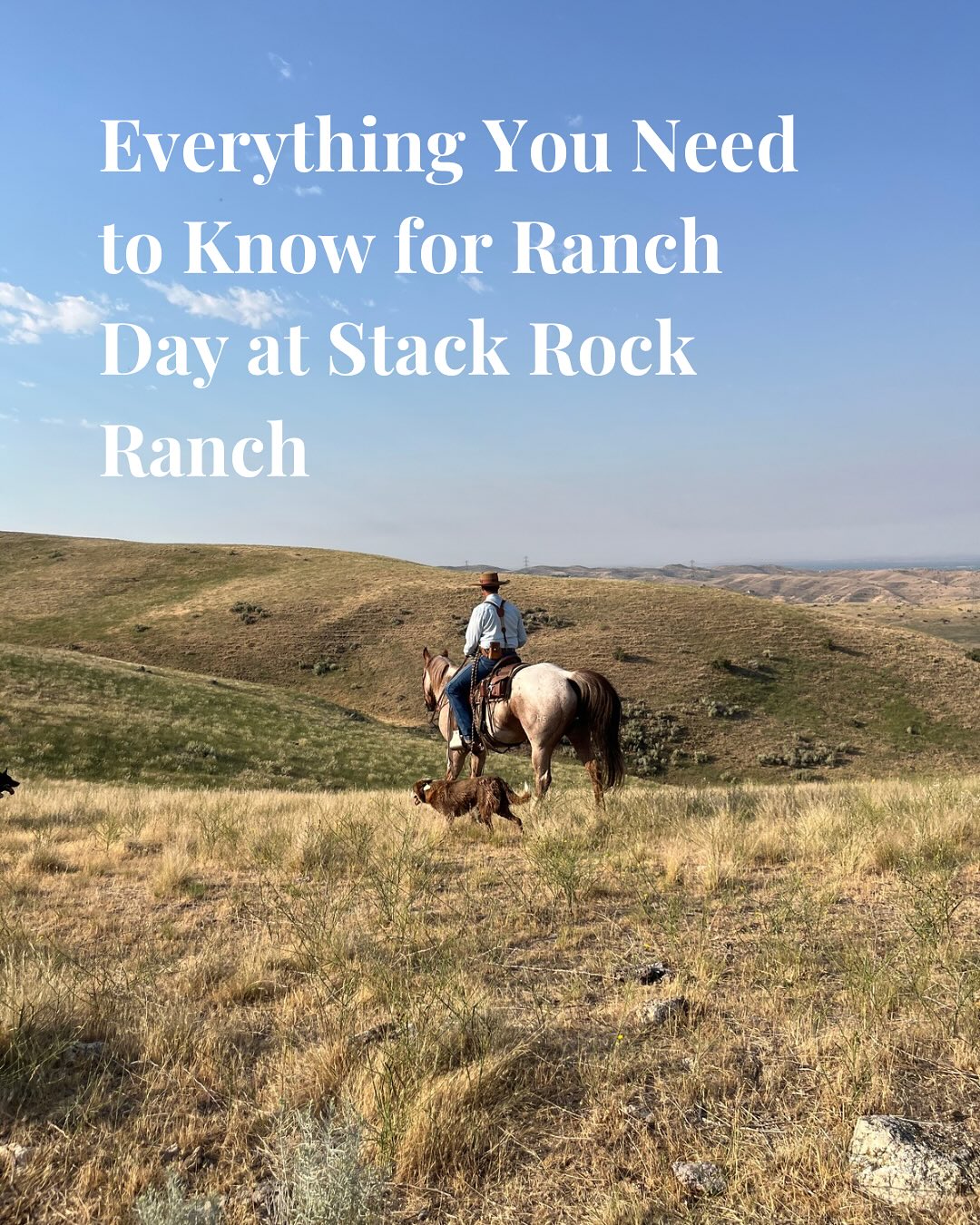 Everything you need to know before Open... - Stack Rock Ranch | Facebook