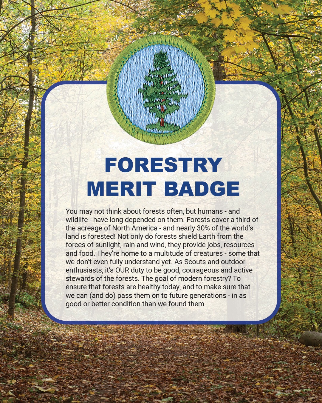With International Day of Forests... - Scouting America | Facebook