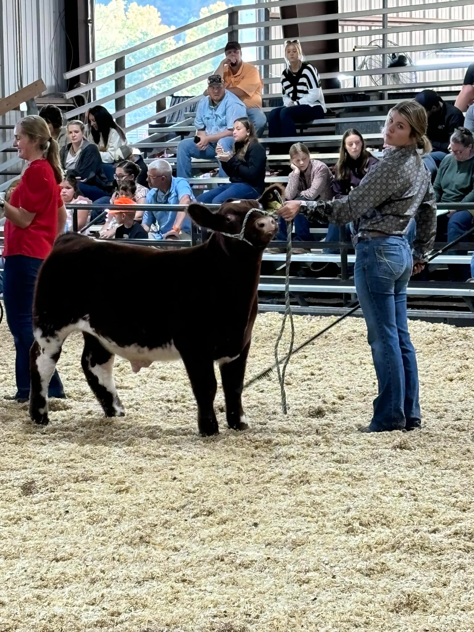 Twin Creek Show Stock | Burlington WV