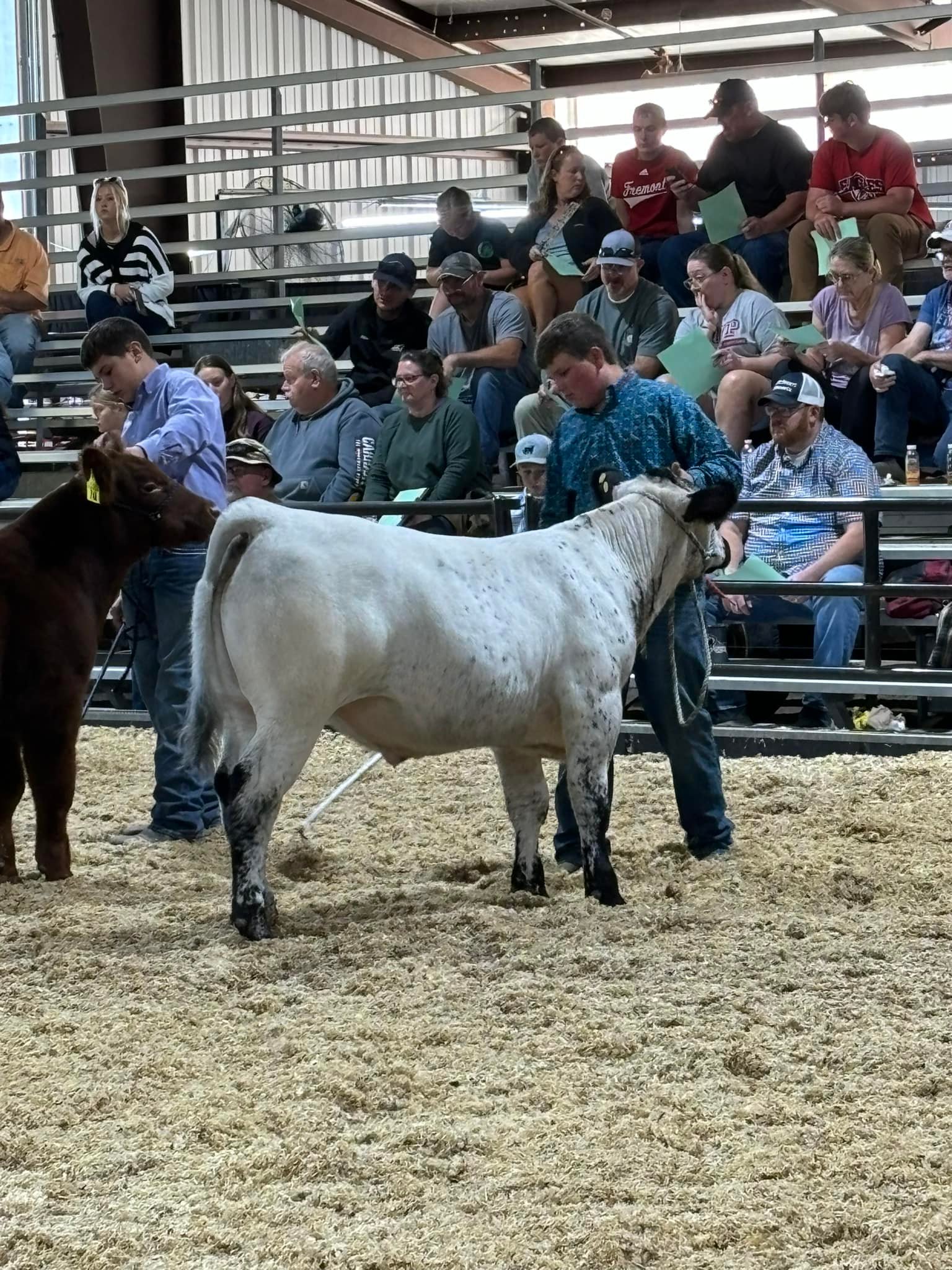 Twin Creek Show Stock | Burlington WV