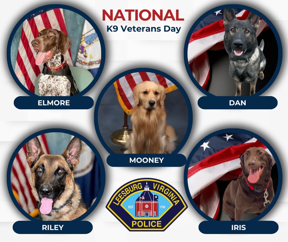 Leesburg - Today is National K9 Veterans Day, and we want to recognize ...