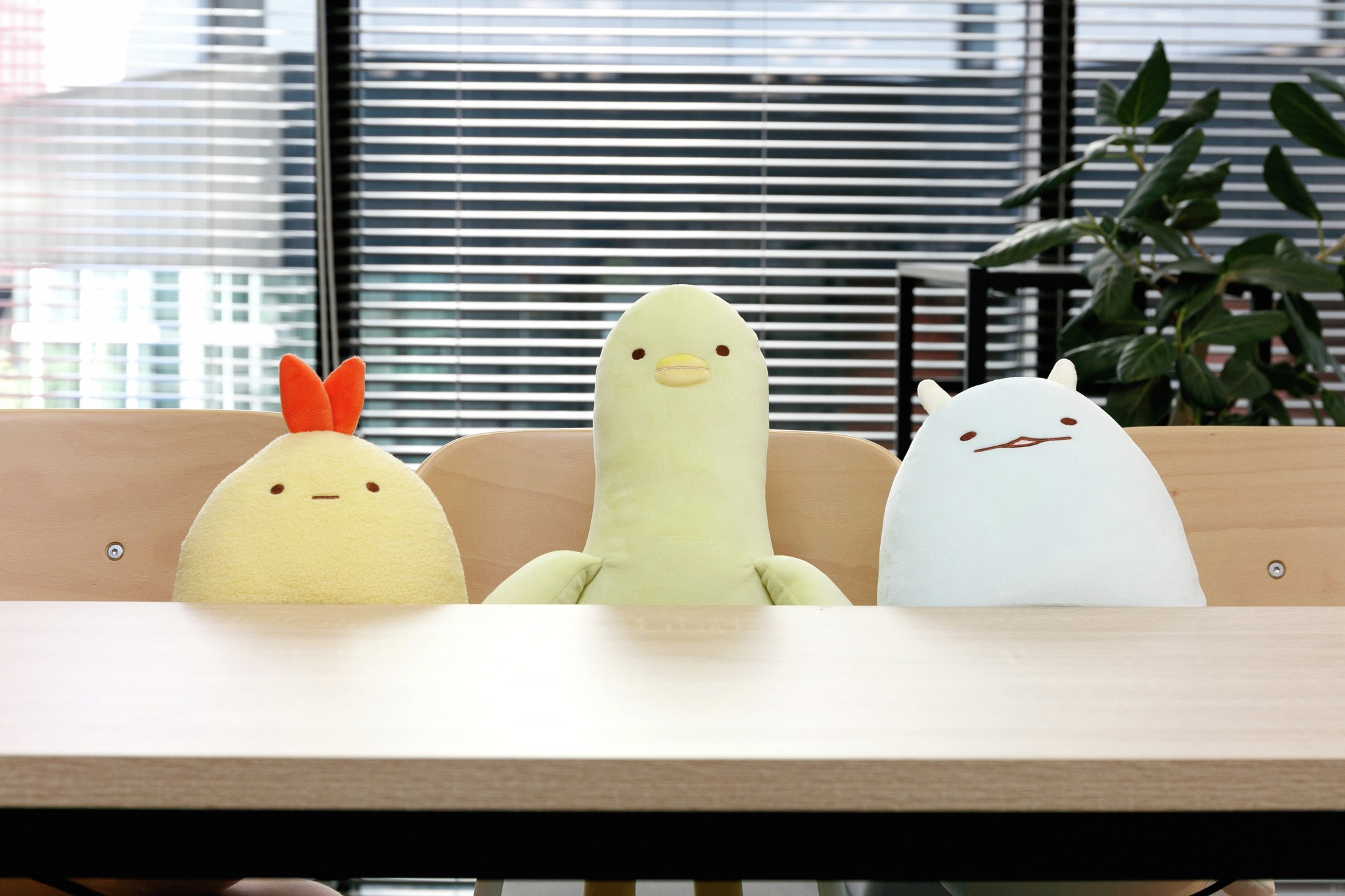 すみっコぐらし　進化　受注　ぬいぐるみ　ビッグ すみっコぐらし 進化 受注 ぬいぐるみ ビッグ 大反響