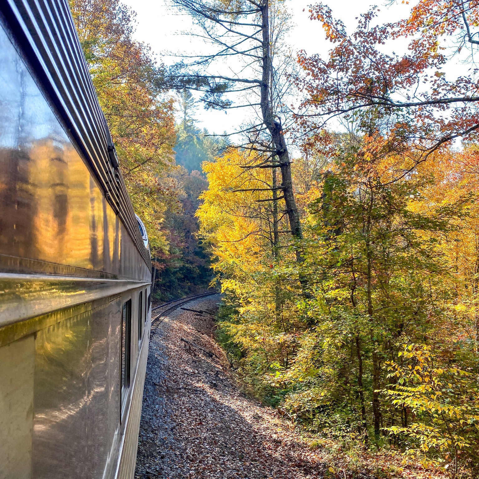 Tennessee - 🚨 Just Announced – Limited-Time Scenic Train Ride! The ...
