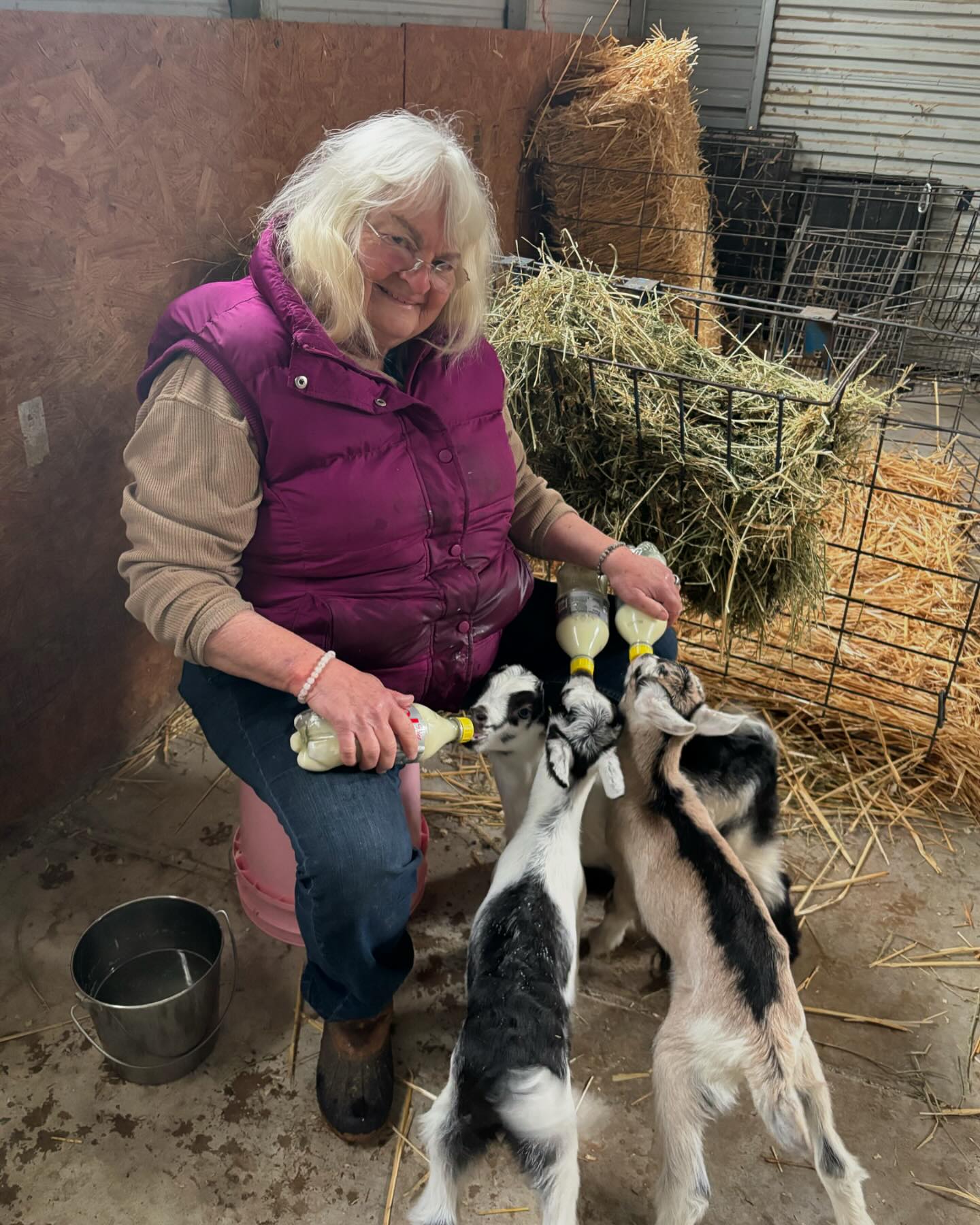 Bell Hill Farm