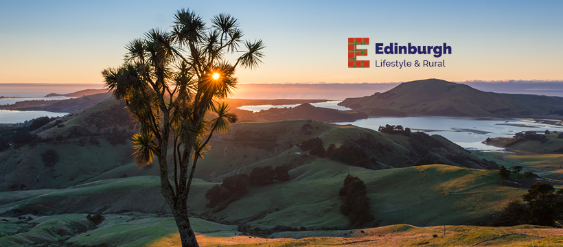Lifestyle & Rural Edinburgh Realty | Dunedin
