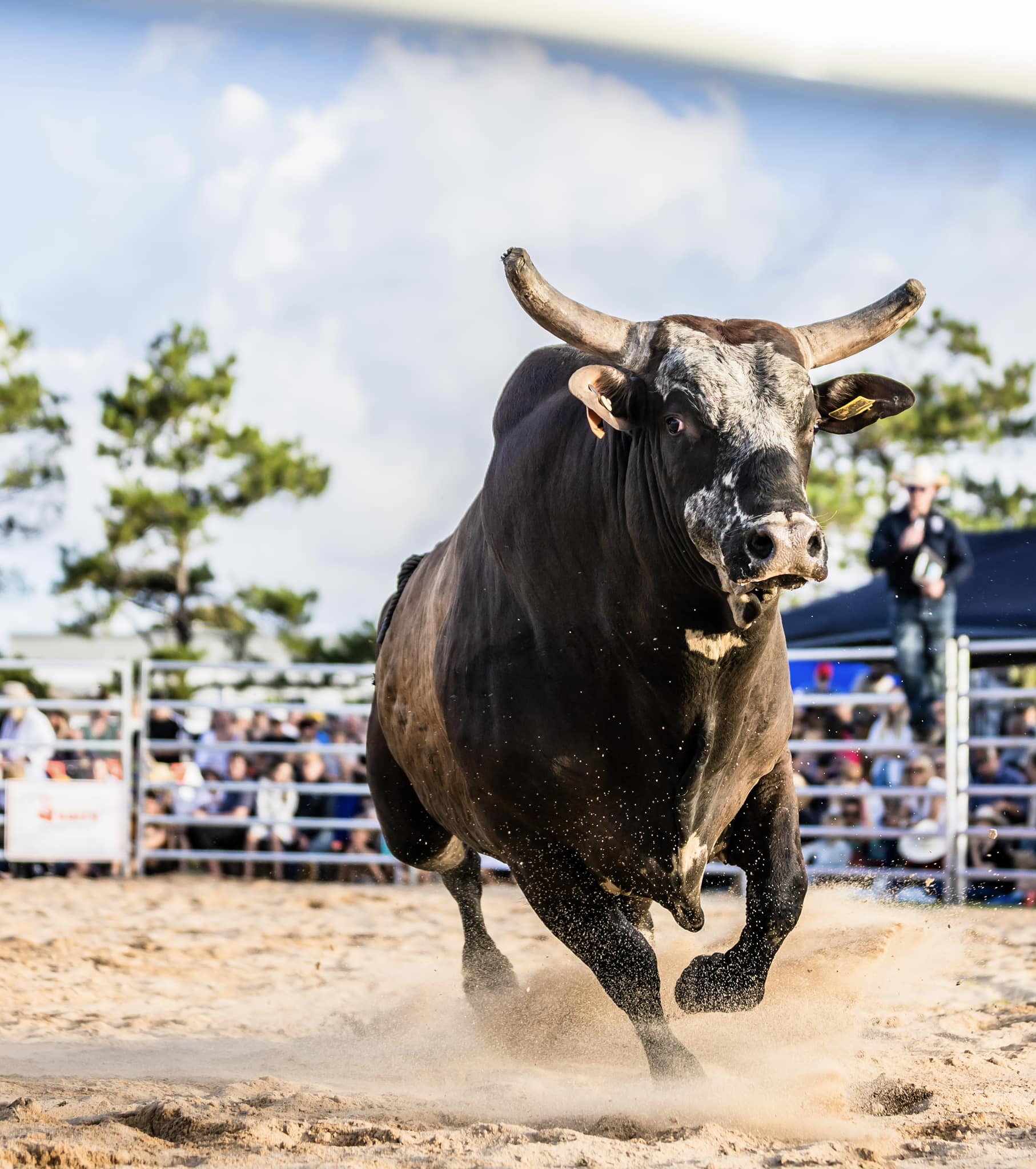 J & J Rodeo - ‼️ BYRON BAY RODEO PRE-SALE TICKETS NOW OPEN...