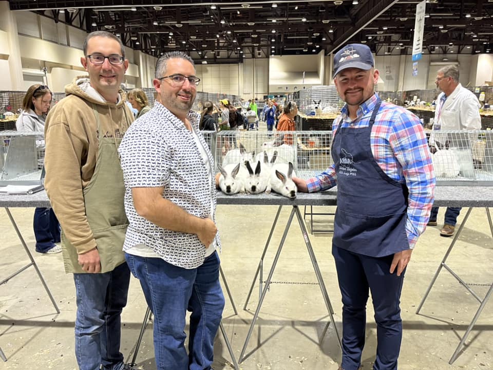 National... - National Californian Rabbit Specialty Club