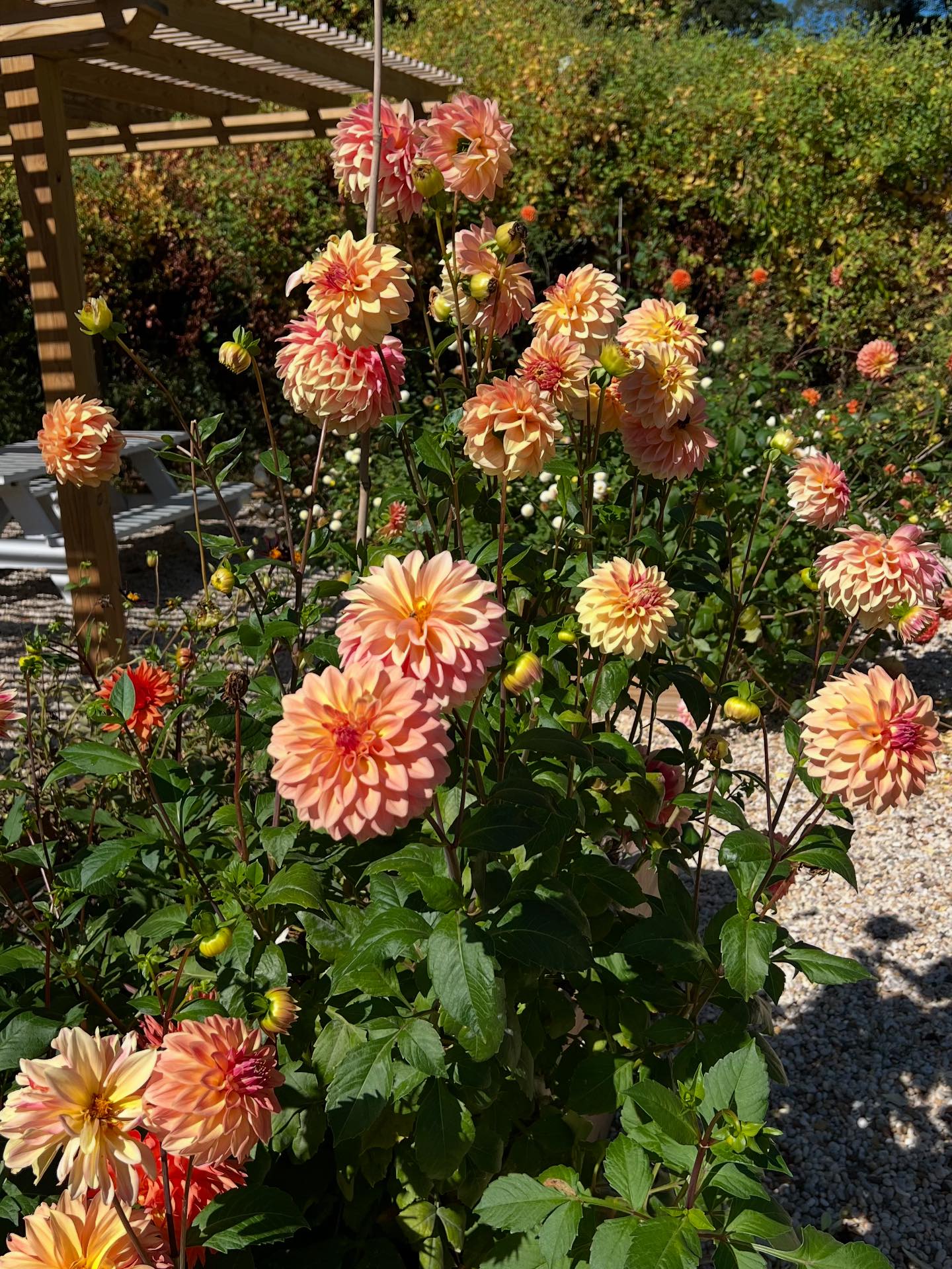 Spring Close Farm | East Hampton NY