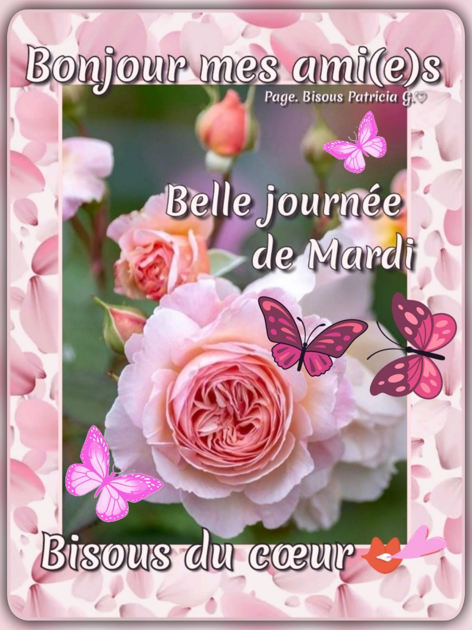 Bisous Patricia Bonjour Bon Mardi Et Bonne Journee Facebook