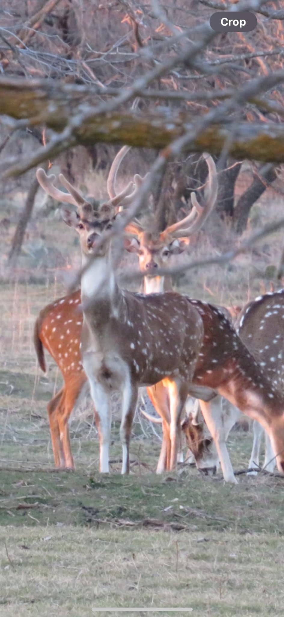 S4 Hunting Ranch