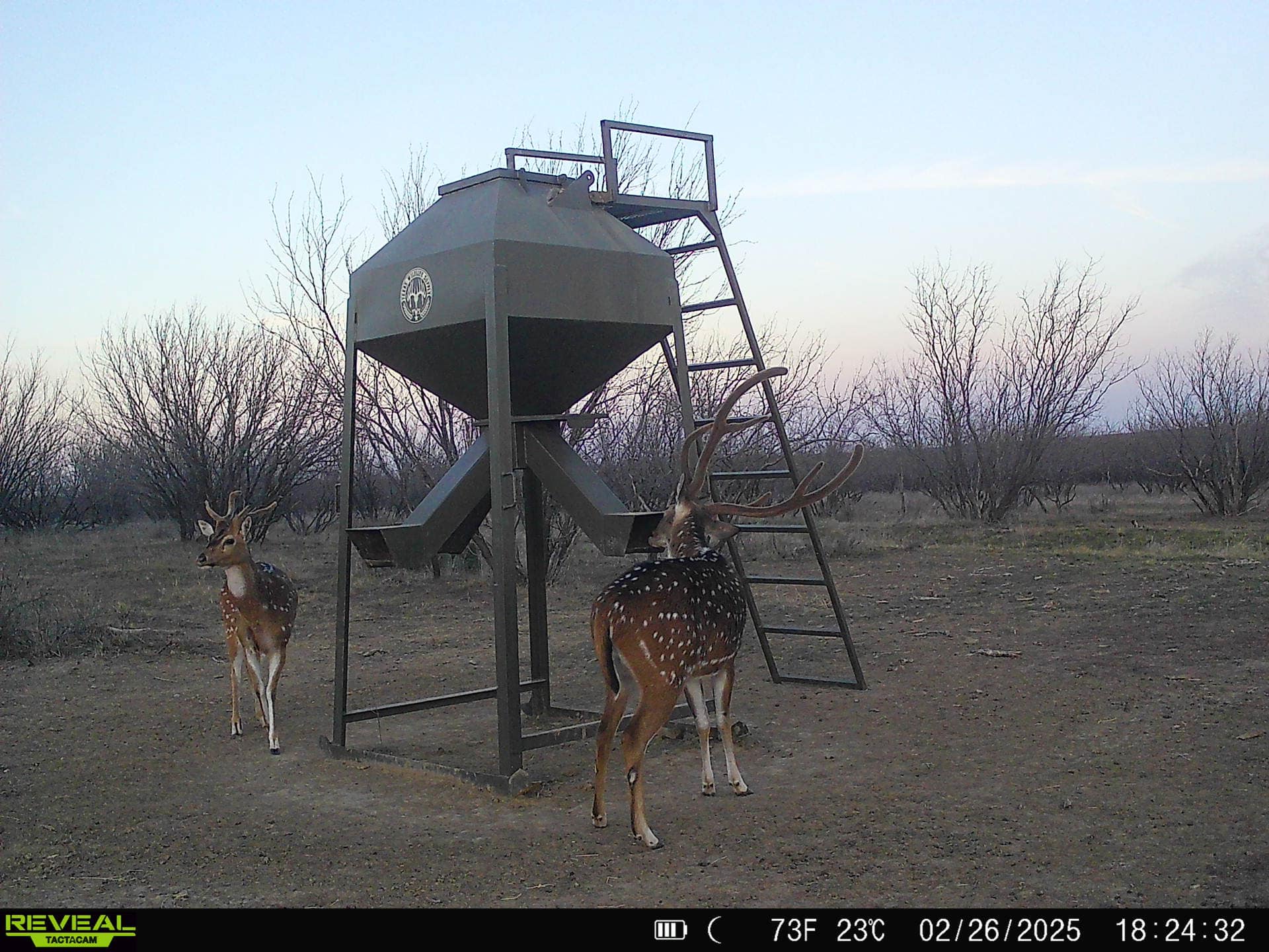 S4 Hunting Ranch