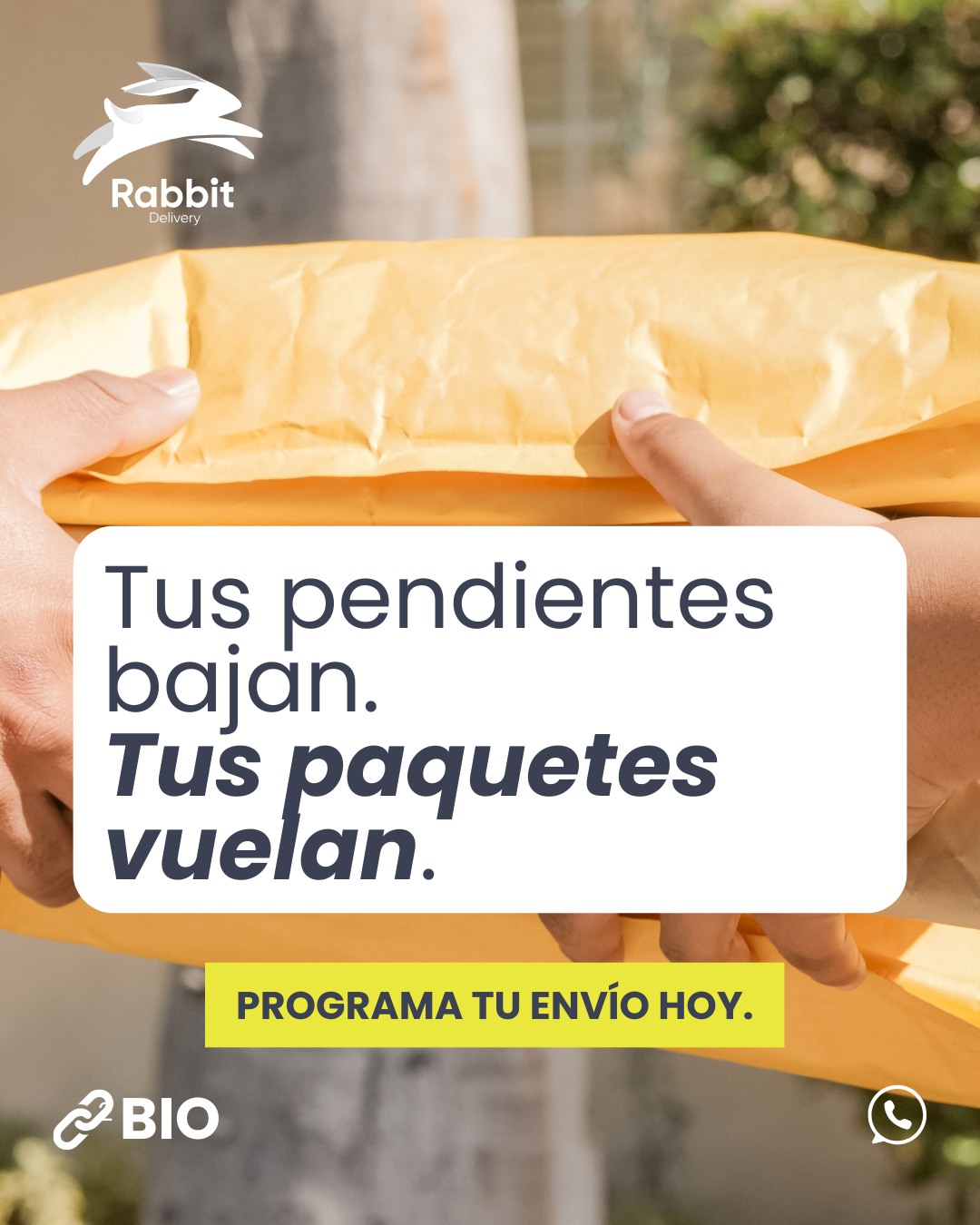 Rabbit Delivery - En RABBIT DELIVERY recolectamos y... | Facebook