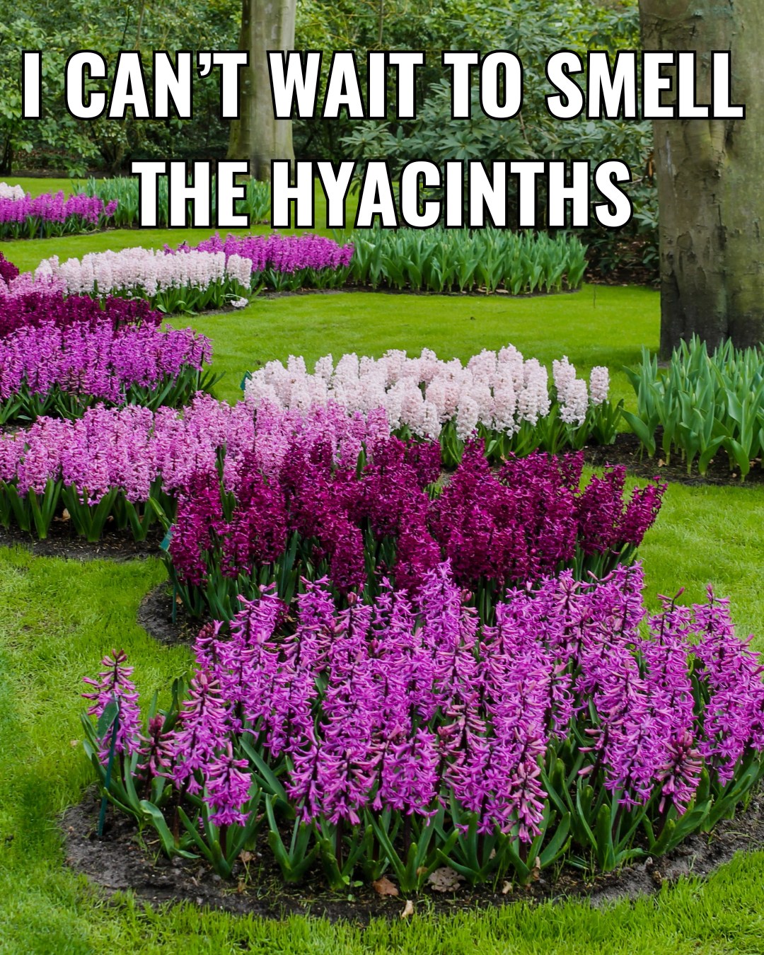 Flowers - Another one of my favorite smells of Spring 🪻☺️ | Facebook