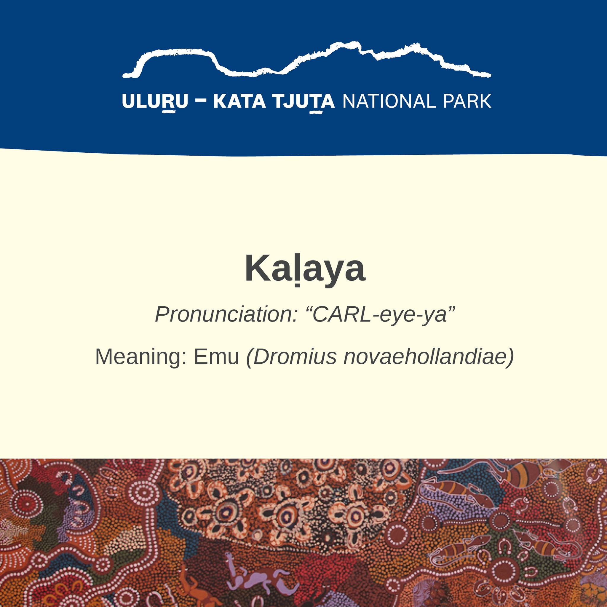 Uluṟu-Kata Tjuṯa National Park - We've been checking for signs of ...