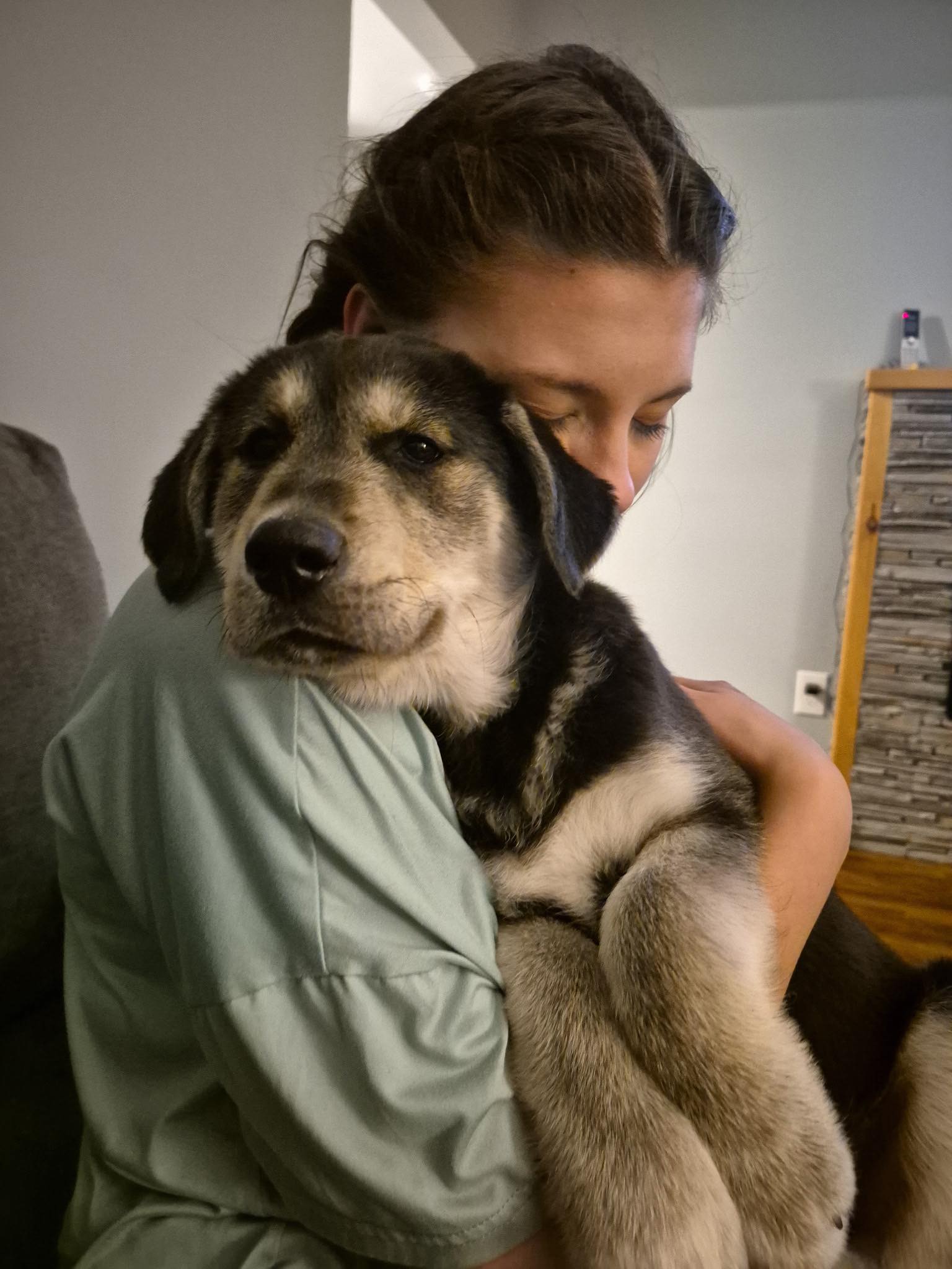 Helping Paws Rescue added a new photo. - Helping Paws Rescue