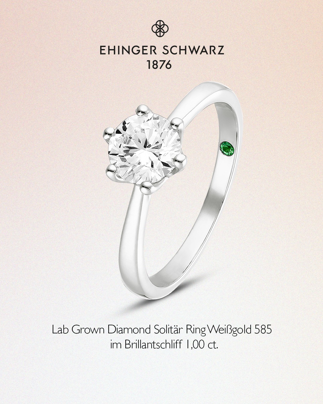 ehinger-schwarz-1876-added-a-new-photo-ehinger-schwarz-1876