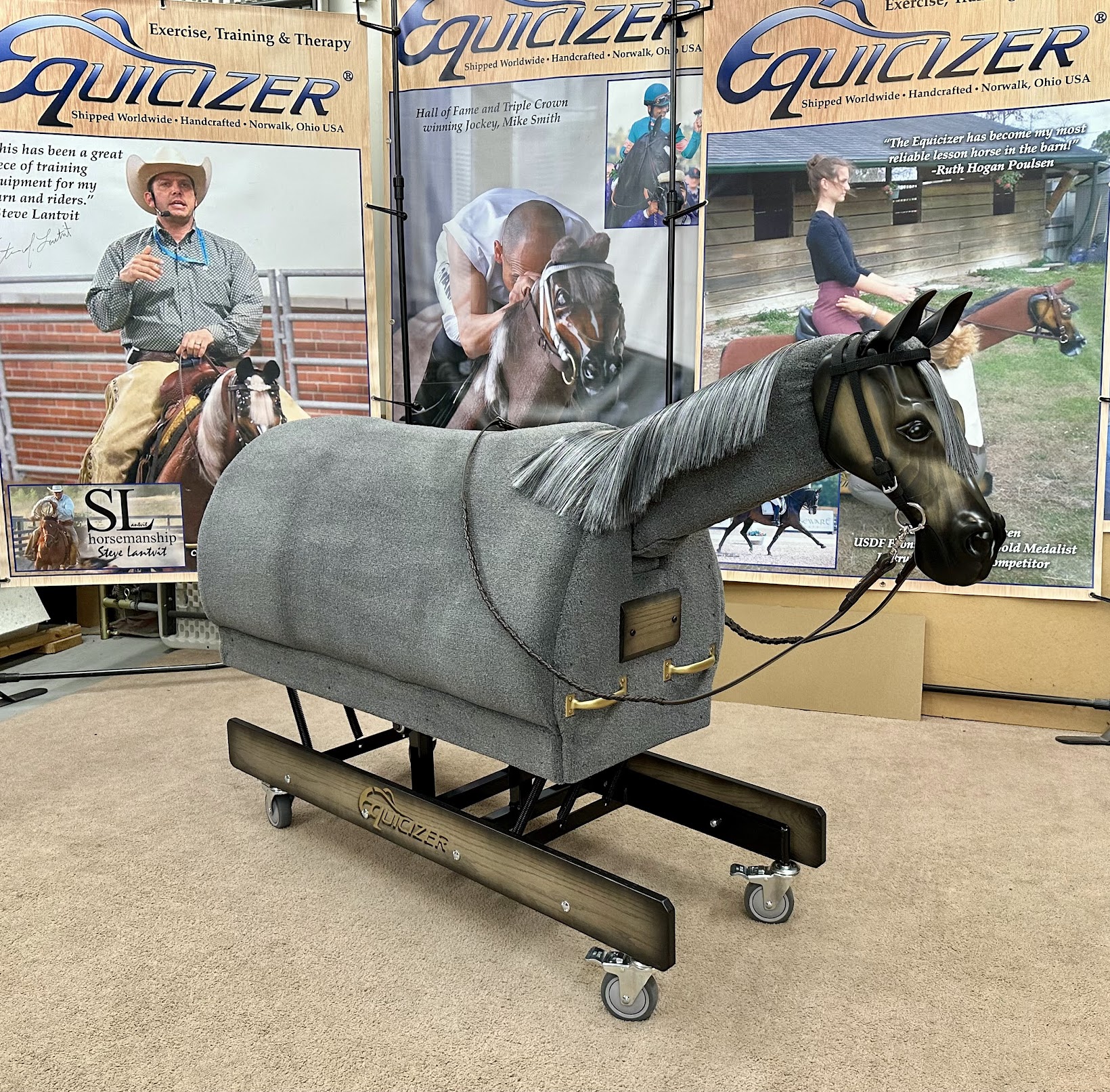 Equicizer