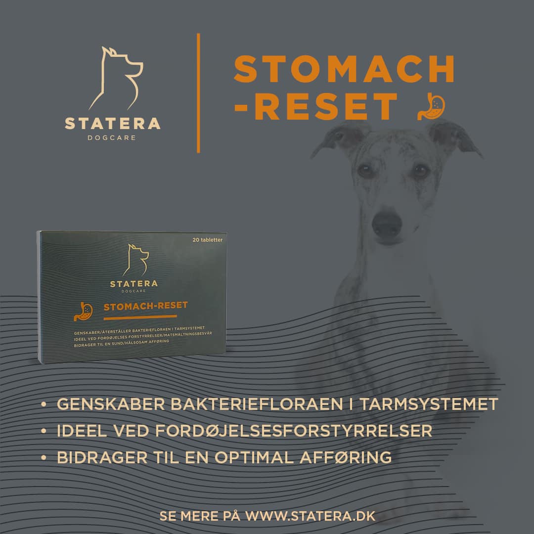Statera Dogcare Danmark - 𝗦𝗧𝗔𝗧𝗘𝗥𝗔 𝗦𝘁𝗼𝗺𝗮𝗰𝗵-𝗥𝗲𝘀𝗲𝘁 - Når din hund har ...