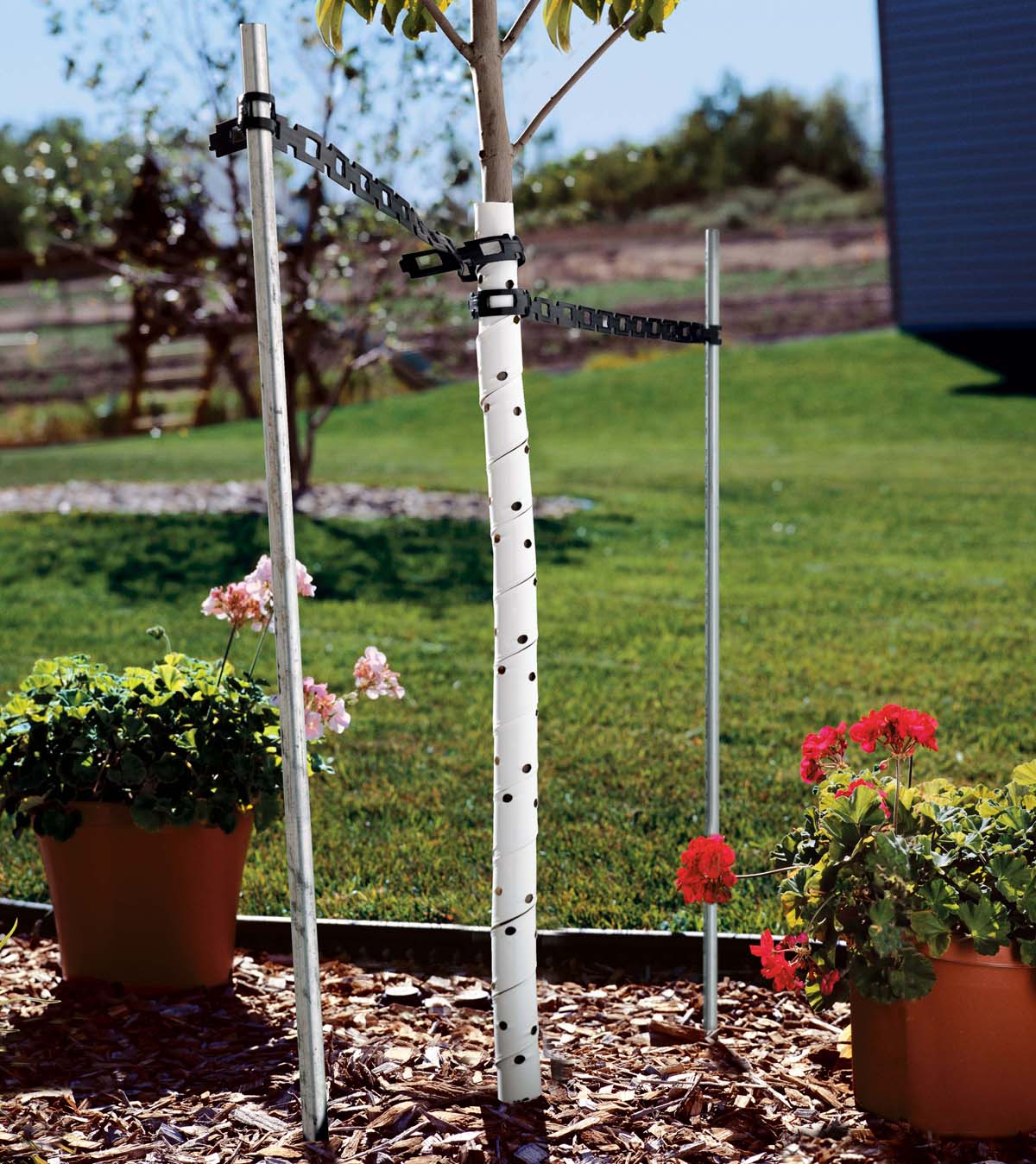 Master - Keeping your trees safe from weather and animals is easy with ...