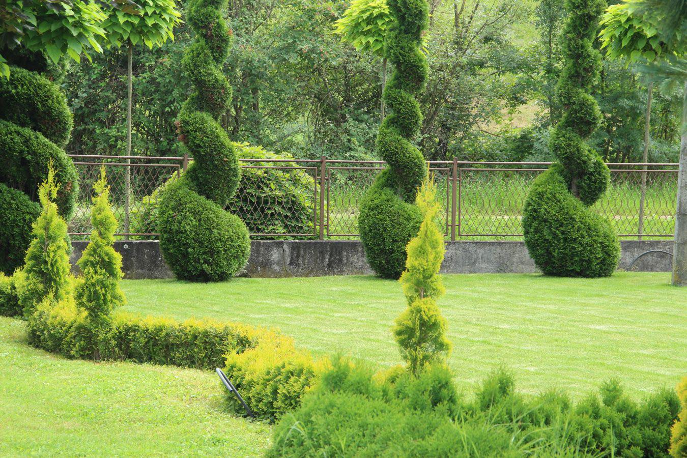 Crveni Berberis Rasadnik added... - Crveni Berberis Rasadnik